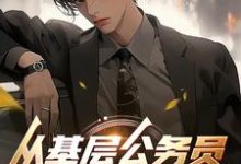 从基层公务员开始奋起小说全文哪里可以免费看？-书格格