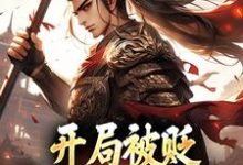 小说《开局被贬,我要掠夺江山》完整版章节免费阅读-书格格