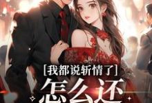 周辞钟筱完整版《我都说斩情了，怎么还让我相亲》小说免费阅读-书格格