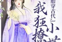 胎穿古代，我狂撩小世子完整版小说，胎穿古代，我狂撩小世子唐婳祁怀胤-书格格