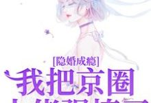 隐婚成瘾，我把京圈大佬强撩了傅砚辞林书晚小说在线章节目录阅读最新章节-书格格