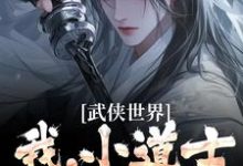 武侠世界：我，小道士，已无敌（张正道胡芸英）完整版在线免费阅读-书格格