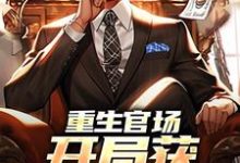 重生官场，开局获顶配资源苏卓恒谢芷秋，重生官场，开局获顶配资源完整版最新章节-书格格