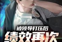 被领导打压后，绩效再次被清零！孙平安林若薇小说免费阅读-书格格