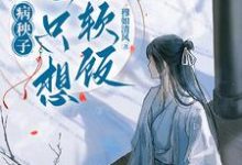 病秧子一心只想吃软饭江叙白安织桐小说完结版章节在线阅读-书格格