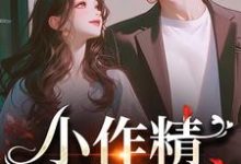 小作精，我看上你啦昭禾沉向晚，小作精，我看上你啦小说免费阅读-书格格
