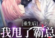 重生后,我甩了霸总享单身夜小说的无弹窗阅读体验,寻找免费阅读网站-书格格