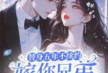 在线免费阅读替身五年不续约，嫁你兄弟急什么完整小说-书格格