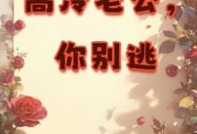 展新颜江砚初小说高冷老公，你别逃在线阅读章节-书格格