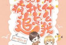 季也小说免费阅读完整版-书格格