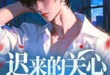 迟来的关心谁稀罕小说有没有完整的免费版本在线阅读?-书格格
