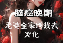 小说《脑癌晚期，老婆全家送我去火化》在线章节阅读-书格格