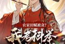 农家田赋被贪？我考科举把书读烂小说全文哪里可以免费看？-书格格