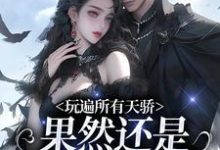 玩遍所有天骄，果然还是二爷比较香小说完结了吗？在哪里可以免费读到？-书格格