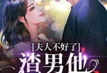 夫人不好了！渣男他要求爱黎岁霍砚舟小说大结局免费试读-书格格
