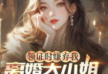 领证时嫌弃我，离婚大小姐哭什么小说无弹窗阅读的网站推荐-书格格