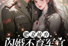 在线寻找肥妻被弃，闪婚不育军官后躺赢了小说的无删减版本-书格格