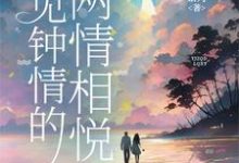 小说《一见钟情的两情相悦》完整版在线章节免费阅读-书格格
