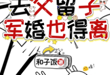 苏璃萧衍珩小说《穿七零去父留子，军婚也得离》完整版免费阅读-书格格