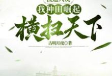 《被逼入赘，我种田崛起横扫天下》小说章节列表免费试读，林枫小说在线阅读-书格格