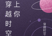 我穿越时空爱上你这本小说完结了吗？免费查看最新章节-书格格