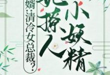 林殇孟馨小说完结版在线阅读，赘婿：清冷女总裁？她撩人小妖精免费看-书格格