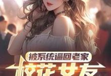 被系统逼回老家，校花女友追来了小说有没有完整的免费版本在线阅读？-书格格