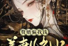 小说《赘婿骗我钱养妻儿老小，弄死！》在线章节阅读-书格格