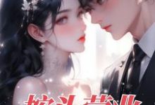 按头营业小说的无弹窗阅读体验，寻找免费阅读网站-书格格