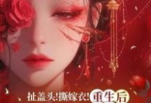 扯盖头！撕嫁衣！重生后她不忍了小说，扯盖头！撕嫁衣！重生后她不忍了在线阅读-书格格