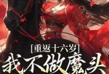 重返十六岁,我不做魔头改修仙了免费阅读,重返十六岁,我不做魔头改修仙了章节在线阅读-书格格