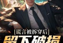 在线免费阅读谎言被拆穿后,留下破损的婚姻完整小说-书格格