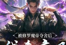 被修罗魔帝夺舍后,我杀疯了小说的所有章节都能在哪里免费读到?-书格格