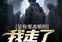 是你要离婚的,我走了你又哭?小说阅读,是你要离婚的,我走了你又哭?完结版-书格格