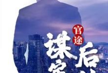 官途:谋定而后动周严陆嘉琪小说免费阅读-书格格