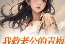 陆子恒盛肖苒完整版《我救老公的青梅,却反被她诬陷》小说免费阅读-书格格