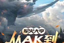 军火大亨：从ak到星际航母小说无弹窗阅读的网站推荐-书格格