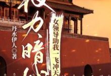 求权力暗战：女领导助我一飞冲天小说免费资源-书格格