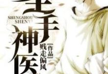 完结版《圣手神医》在线免费阅读-书格格