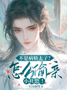 苏锦沅晏昭小说免费阅读完整版