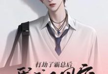 《打劫了霸总后我成了团宠》小说章节在线试读，《打劫了霸总后我成了团宠》最新章节目录-书格格