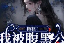 苏妩顾妄完整版《糟糕！我被腹黑公子缠上了》小说免费阅读-书格格