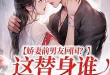 王逸风小说《娇妻前男友回国?这替身谁爱当谁当》在线阅读-书格格