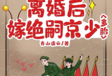 七零大院：离婚后嫁绝嗣京少多胎小说的无弹窗阅读体验，寻找免费阅读网站-书格格