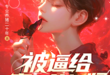 被逼给真少爷捐肾，我选迁出户口夏陌小说大结局免费试读-书格格