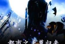 《都市之天尊归来》小说王宁章节章节免费在线阅读-书格格