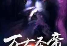 万古圣帝小说有没有完结版在线？-书格格