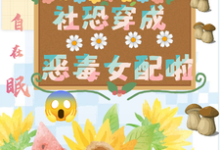 坏了，社恐穿成恶毒女配啦小说有没有完整的免费版本在线阅读？-书格格