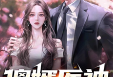 哪里可以免费找到傻婿医神？-书格格