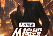 《人在缅北，从捣毁科技园开始》小说大结局免费试读 韩潇小说-书格格